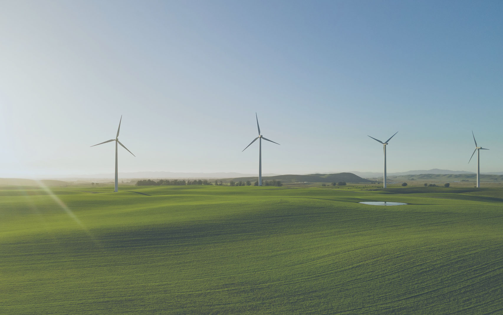 ��ɫ����